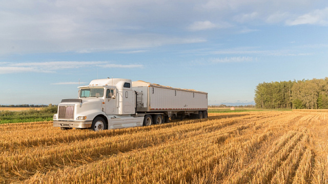 Chile’s export growth in forestry and agricultural products exceeds 20 per cent