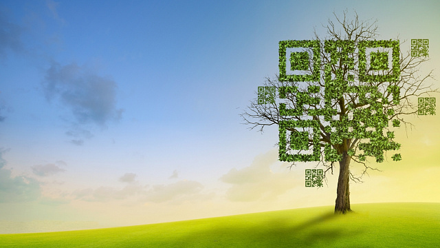 Saudi Arabia launches innovative smart tree initiative to promote green spaces and environmental awareness