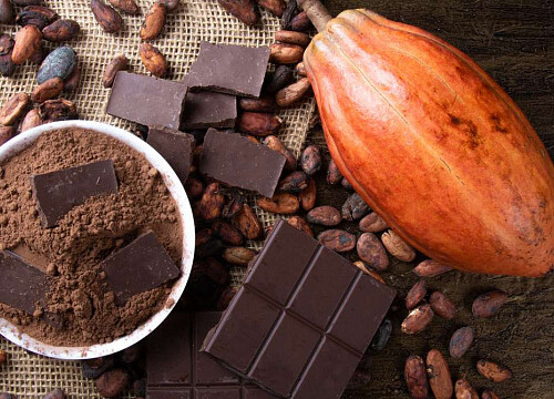 Brazil develops cocoa and chocolate-based tourism destinations