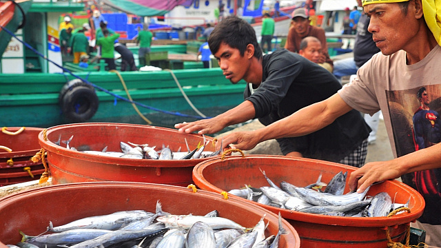 Vietnam targets global leadership in sustainable seafood exports by 2030