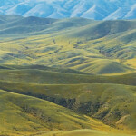 China and Central Asia expand cooperation to turn arid lands into green oases