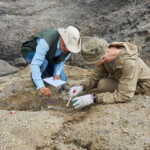 Belarusian archaeologists unearth ancient fragment of ingot