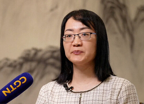Cai Tongjuan, Chinese expert: BRICS Summit in Rio helps advance economic cooperation