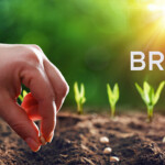 Expert: BRICS technological advances drive global shift towards sustainable agriculture