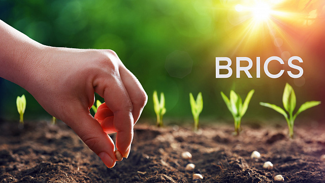 Expert: BRICS technological advances drive global shift towards sustainable agriculture