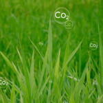 China approves CO2-turned protein as new sustainable animal feed material