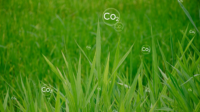 China approves CO2-turned protein as new sustainable animal feed material