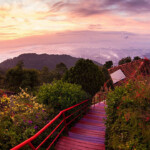 Malaysia’s FRIM Forest Park gains UNESCO World Heritage status