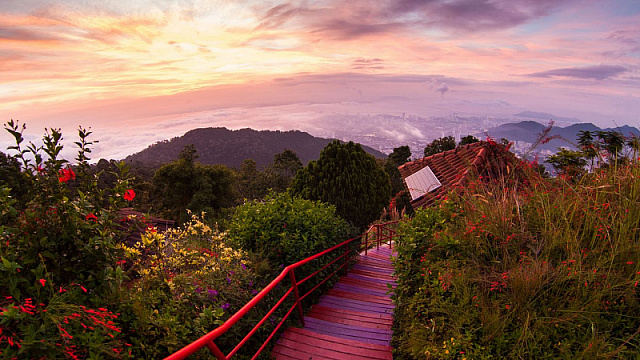 Malaysia’s FRIM Forest Park gains UNESCO World Heritage status