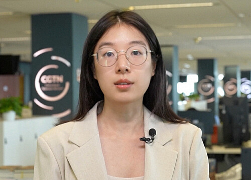 CGTN commentator Fan Yimin: single BRICS currency can become key tool for cross-border settlements