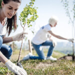 Iran aims to plant one billion trees in climate and conservation push