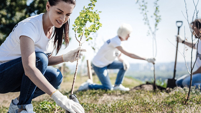 Iran aims to plant one billion trees in climate and conservation push
