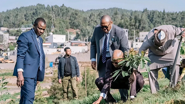 Nigerian Vice President urges Africa to follow Ethiopia’s Green Legacy initiative