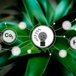 Chinese scientists develop electrified catalysis method to achieve net-negative greenhouse gas emissions