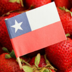 Chile achieves record export growth in first half of 2025