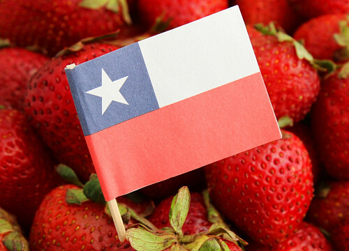 Chile achieves record export growth in first half of 2025