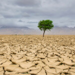 Egypt and Mexico discuss environmental cooperation to address consequences of desertification and climate change