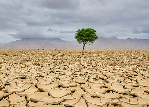 Egypt and Mexico discuss environmental cooperation to address consequences of desertification and climate change