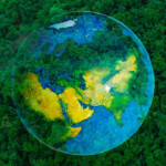 BRICS leaders endorse Tropical Forests Forever Fund as new model for climate finance