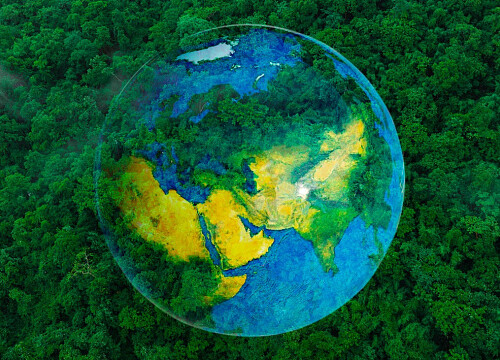 BRICS leaders endorse Tropical Forests Forever Fund as new model for climate finance
